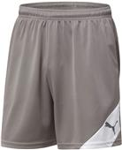 Puma Mens Santiago Shorts Puma Mens Santiago Shorts
