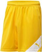Puma Mens Santiago Shorts Puma Mens Santiago Shorts