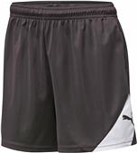 Puma Womens Santiago TG Shorts Puma Womens Santiago TG Shorts