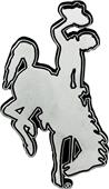 Fan Mats NCAA Wyoming Chrome Vehicle Emblem Fan Mats NCAA Wyoming Chrome Vehicle Emblem