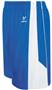 Mens Tagless 9" Streak Basketball Shorts Closeout