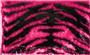 Skunkies Safari/Zebra Shoe/Equipment Deodorizers