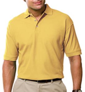 MAIZE