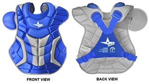 SV - SILVER/BLACK