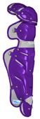 ALL-STAR Young Pro Series Baseball Leg Guards