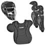 ALL-STAR Traditional Professional Baseball Catcher