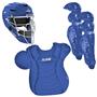 ALL-STAR Traditional Professional Baseball Catcher