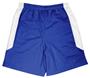 Fabnit Women's Polyester Sofidry Athletic Shorts