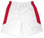 Fabnit Women's Polyester Sofidry Athletic Shorts