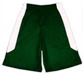 Fabnit Polyester Youth Sofidry Athletic Shorts