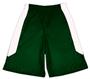 Fabnit Polyester Youth Sofidry Athletic Shorts