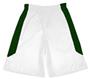 Fabnit Polyester Youth Sofidry Athletic Shorts