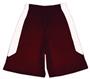 Fabnit Polyester Youth Sofidry Athletic Shorts