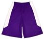 Fabnit Polyester Youth Sofidry Athletic Shorts