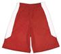 Fabnit Polyester Youth Sofidry Athletic Shorts