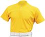 ALL-STAR Adult Two Button Baseball Jerseys