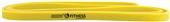Champion 42" Stretch Training Bands (4 Levels) Champion 42" Stretch Training Bands (4 Levels)