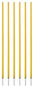 Champion Sports Coaching Sticks (Set of 6) Champion Sports Coaching Sticks (Set of 6)