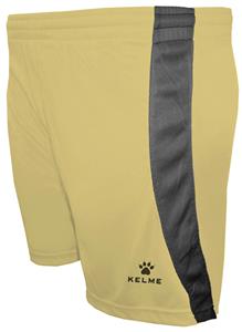 556-VEGAS GOLD/BLACK