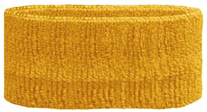GOLD HEADBAND