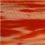Red Lion Tie Dyed Wristbands & Headbands