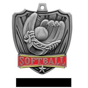 SILVER MEDAL / BLACK RIBBON