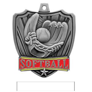SILVER MEDAL / WHITE RIBBON