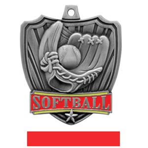 SILVER MEDAL / RED RIBBON