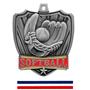 Hasty Awards 2.5" Shield Softball Medals