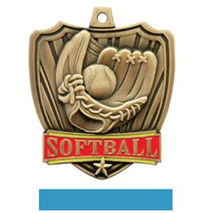GOLD MEDAL / LT. BLUE RIBBON