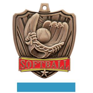 BRONZE MEDAL / LT. BLUE RIBBON