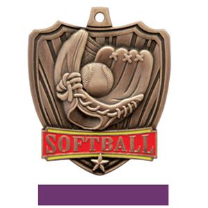 BRONZE MEDAL / PURPLE RIBBON