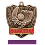 Hasty Awards 2.5" Shield Softball Medals