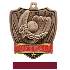 BRONZE MEDAL / MAROON RIBBON
