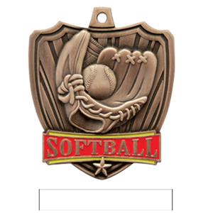 BRONZE MEDAL / WHITE RIBBON