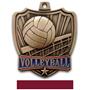 Hasty Awards 2.5" Shield Volleyball Medals
