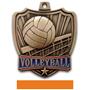 Hasty Awards 2.5" Shield Volleyball Medals