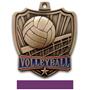 Hasty Awards 2.5" Shield Volleyball Medals