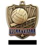 Hasty Awards 2.5" Shield Volleyball Medals