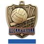 Hasty Awards 2.5" Shield Volleyball Medals