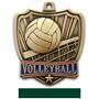 Hasty Awards 2.5" Shield Volleyball Medals