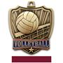Hasty Awards 2.5" Shield Volleyball Medals