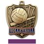 Hasty Awards 2.5" Shield Volleyball Medals