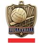 Hasty Awards 2.5" Shield Volleyball Medals