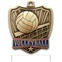 Hasty Awards 2.5" Shield Volleyball Medals