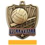 Hasty Awards 2.5" Shield Volleyball Medals
