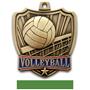 Hasty Awards 2.5" Shield Volleyball Medals