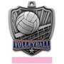 Hasty Awards 2.5" Shield Volleyball Medals