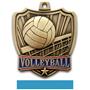 Hasty Awards 2.5" Shield Volleyball Medals