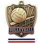 Hasty Awards 2.5" Shield Volleyball Medals